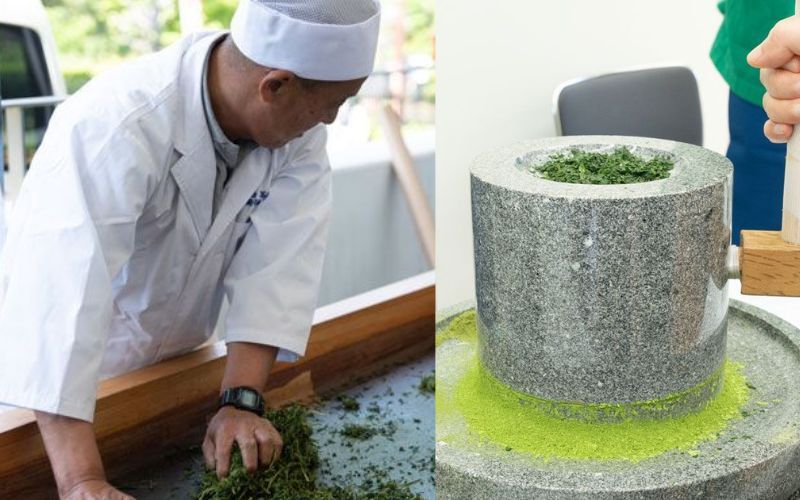 trải nghiệm với trà trải nghiệm với trà